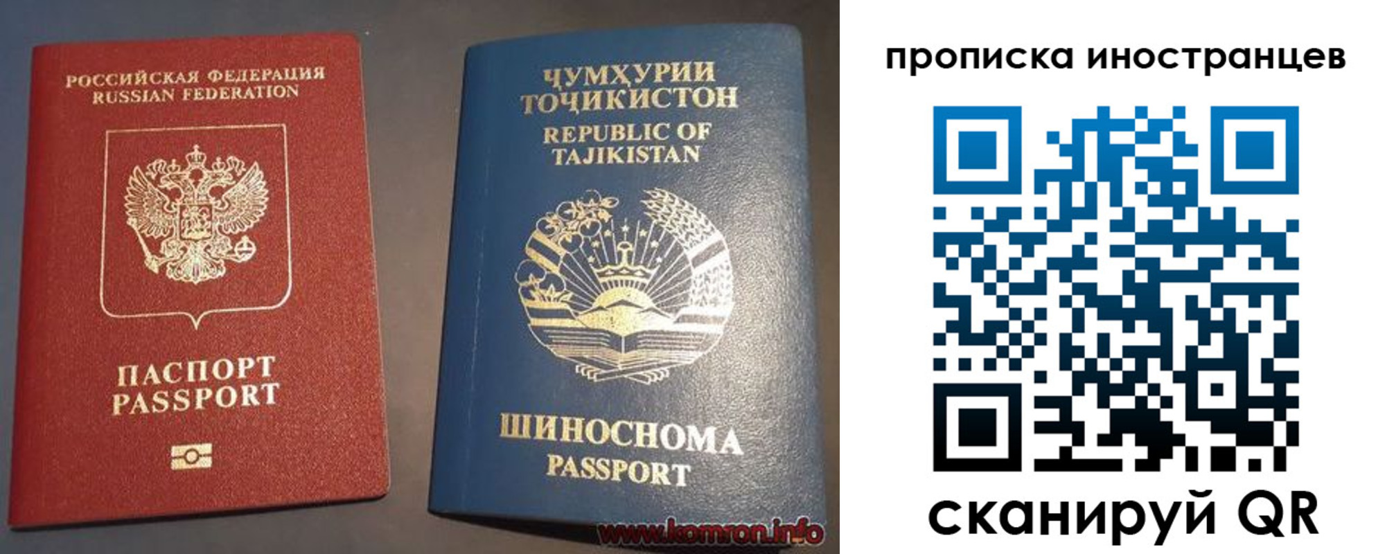 прописка поиск в Ершове